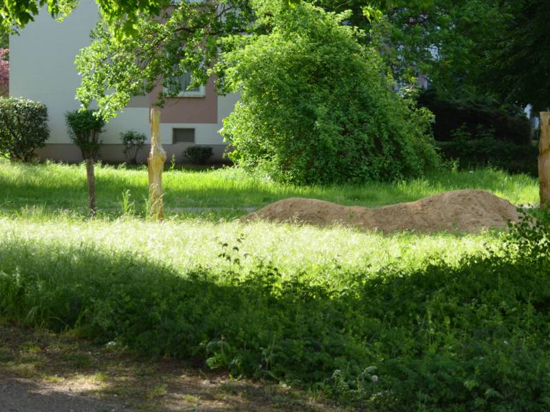 Blick auf einen Nisth&uuml;gel im Gr&uuml;nen.