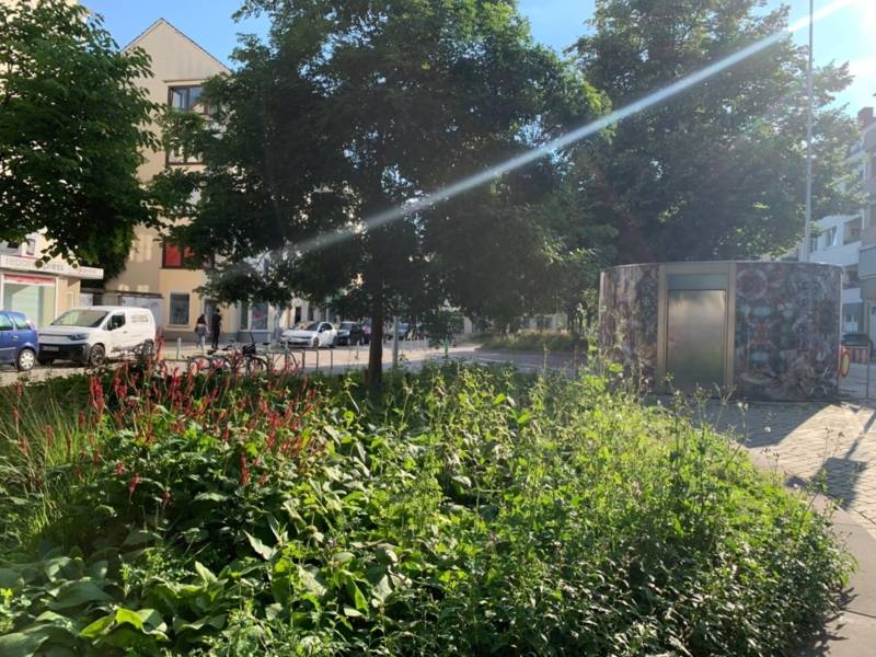 Ein Beet mit hochwachsenden Gr&uuml;npflanzen und Blumen und B&auml;umen auf einem Platz vor H&auml;usern und einer Stra&szlig;e.