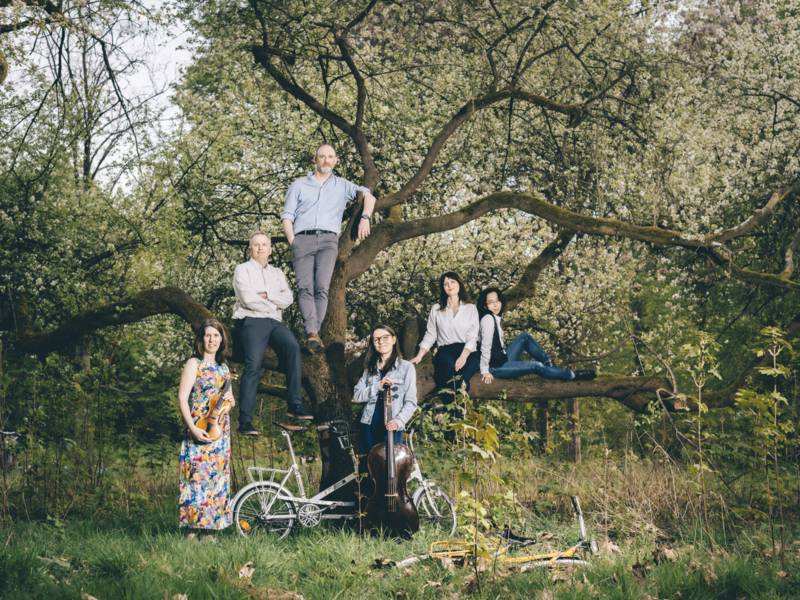 Vier Frauen und zwei Männer haben sich vor einem Baum und dessen Ästen verteilt. Im Bild sind außerdem Fahrräder und Musikinstrumente.