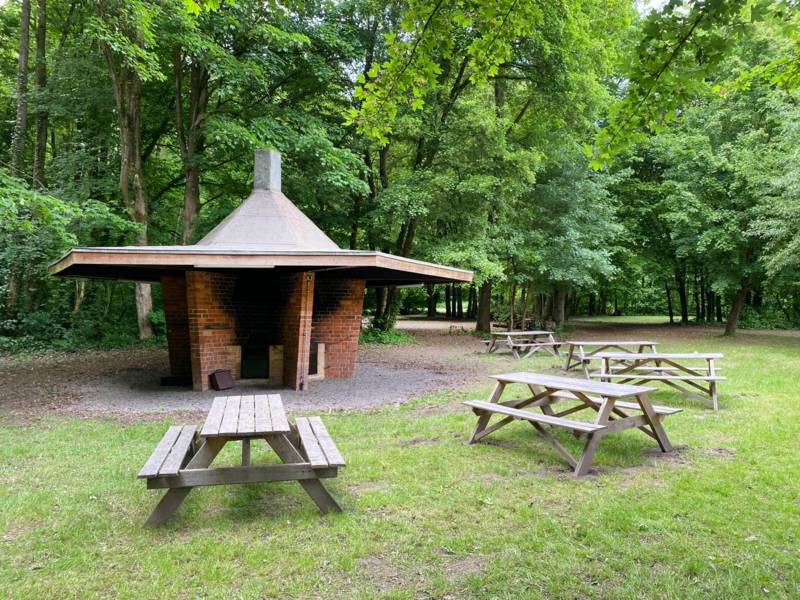 Grill- und Sitzplatz auf einer Lichtung mit Bäumen im Hintergrund.