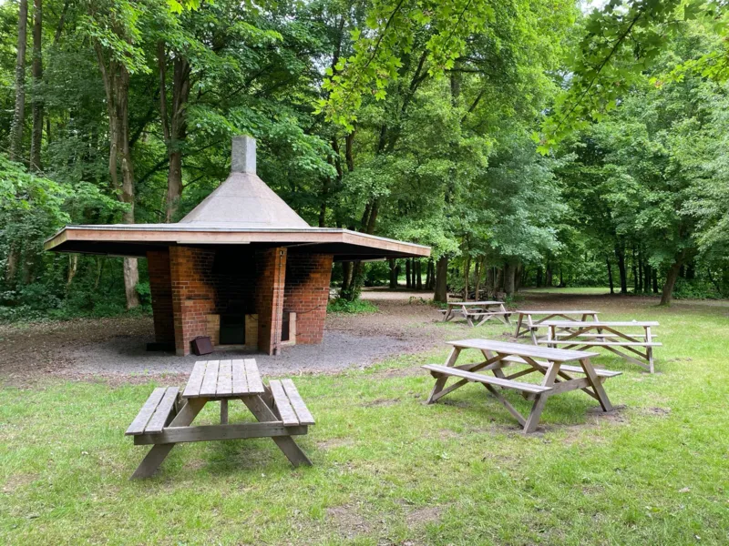 Grill- und Sitzplatz auf einer Lichtung mit B&auml;umen im Hintergrund.