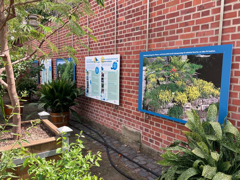 Ausstellung Wilde Vielfalt