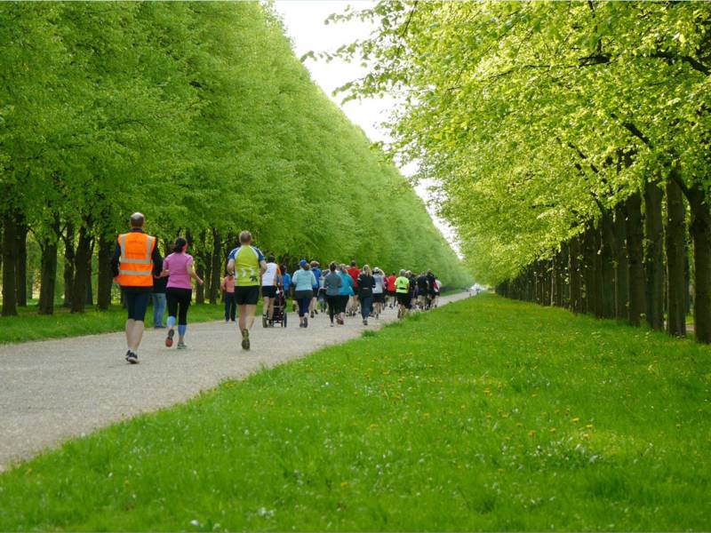 Läufer laufen gemeinsam im Park