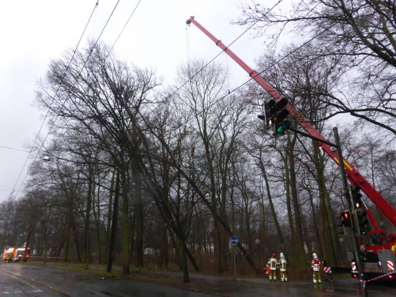 Feuerwehrkran bei der Sicherung umsturzgefährdeter Bäume