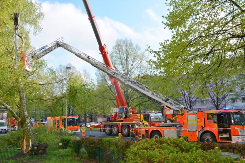 Um den Absturz auf das Gebäude zu verhindern, entlasteten die Feuerwehrleute zunächst die Baumkrone mit ihrem Kranwagen