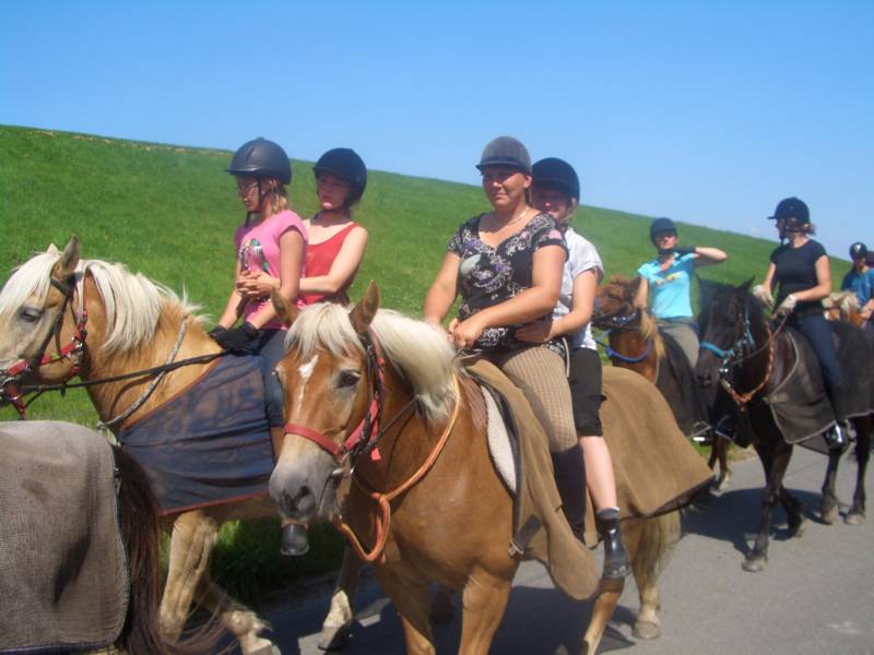 Kinder und Jugendliche reiten auf Ponys an einem Deich entlang