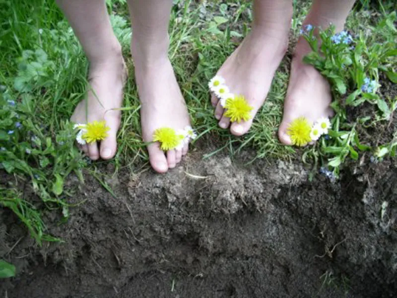 Bl&uuml;ten von L&ouml;wenzahn und G&auml;nsebl&uuml;mchen schm&uuml;cken F&uuml;&szlig;e, die auf Gras und schwarzer Erde stehen.