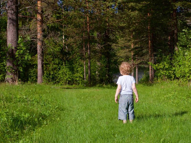 Ein kleines Kind steht auf einem Wiesenweg in einen Wald.