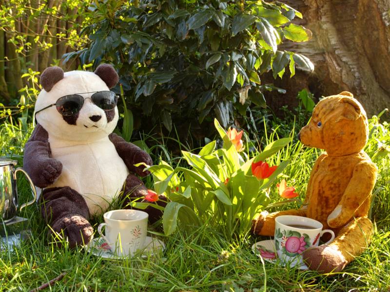 Zwei Teddybären sitzen im Gras nebeneinander
