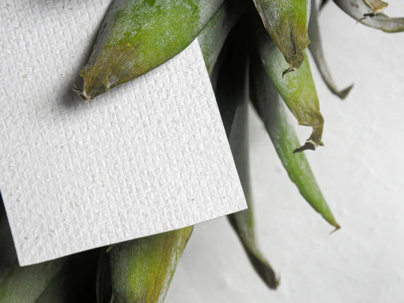 Ananasbl&auml;tter und Papier