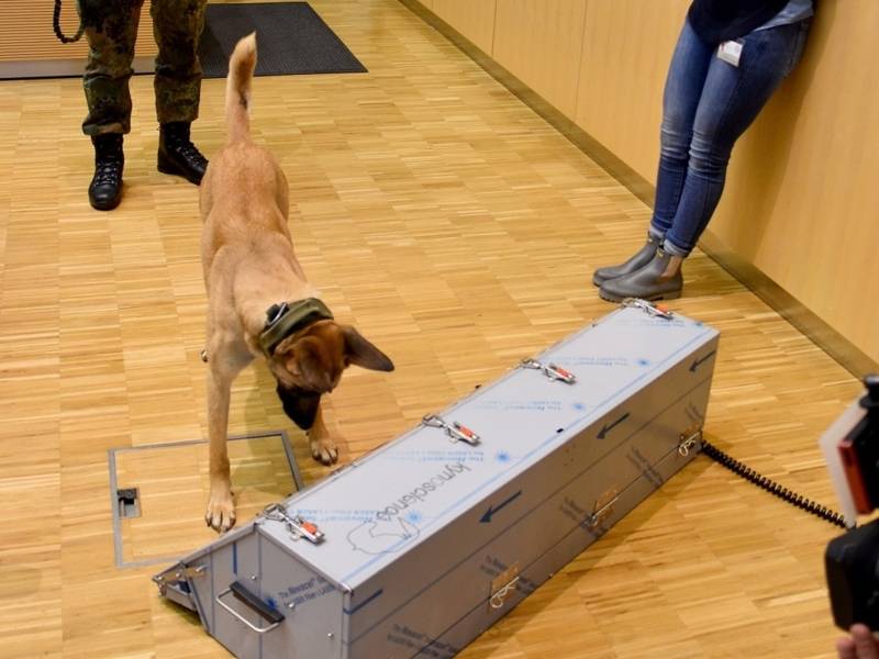 Ein Hund steht vor einem länglichen, silbergrauen Behälter.
