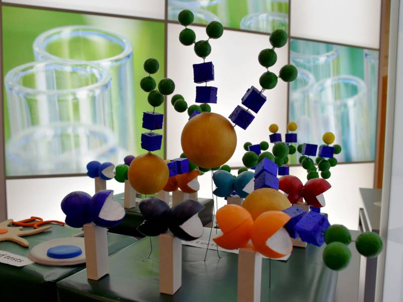 Modell von Molekülen
