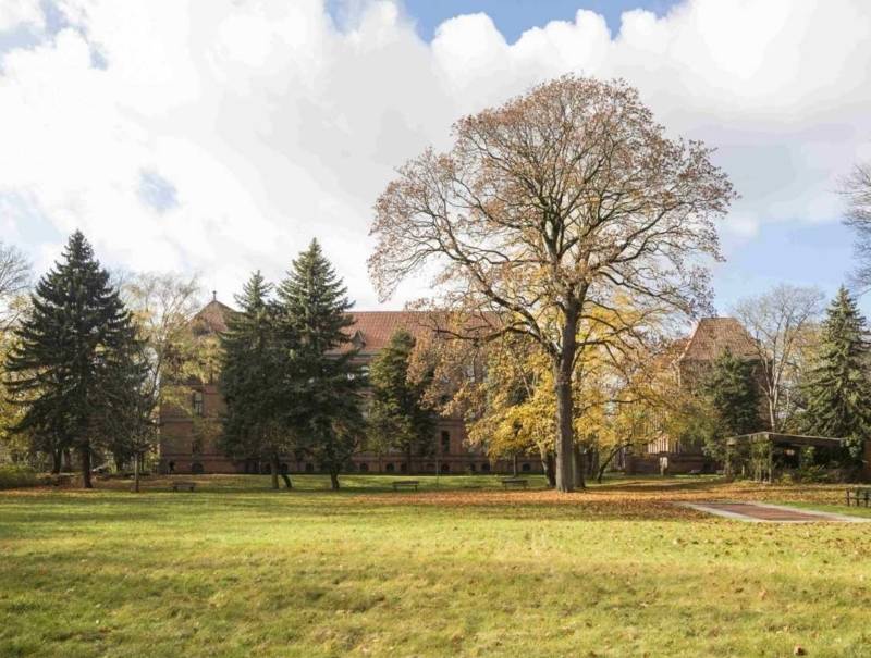 Rasenfläche mit Bäumen