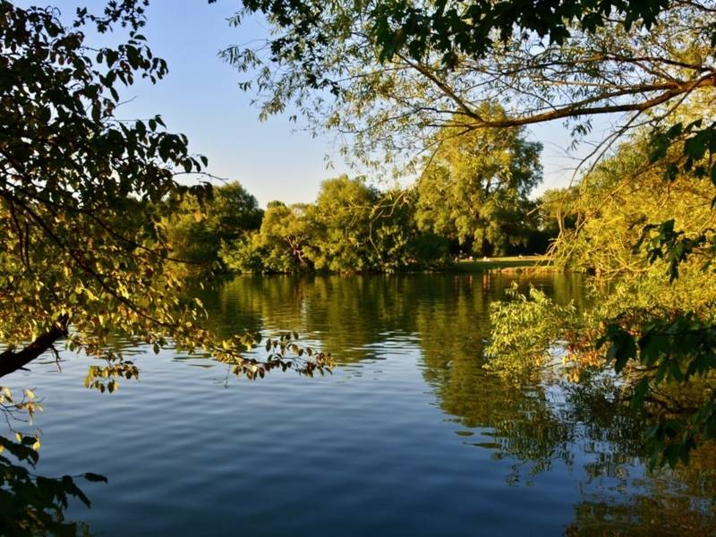 Größerer Teich mit Bäumen am Ufer