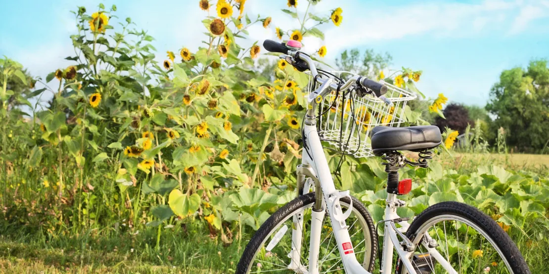 Fahrrad fahren in Hannover