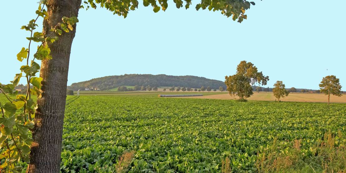 Calenberger Landtour