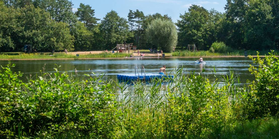 Kleiner See im Wald mit künstlicher Badeinsel in der Mitte.
