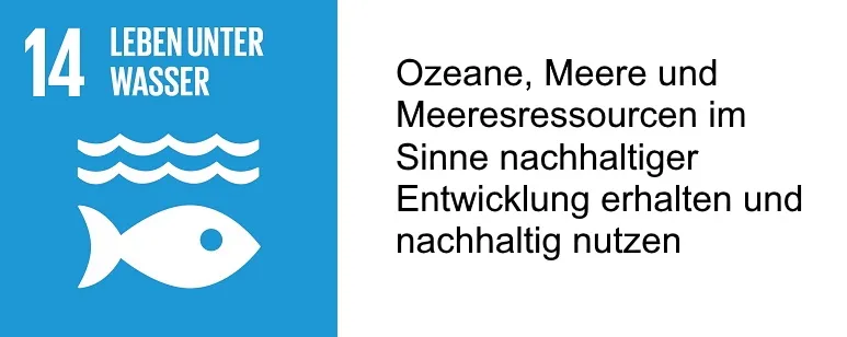 SDG 14 mit Beschreibung