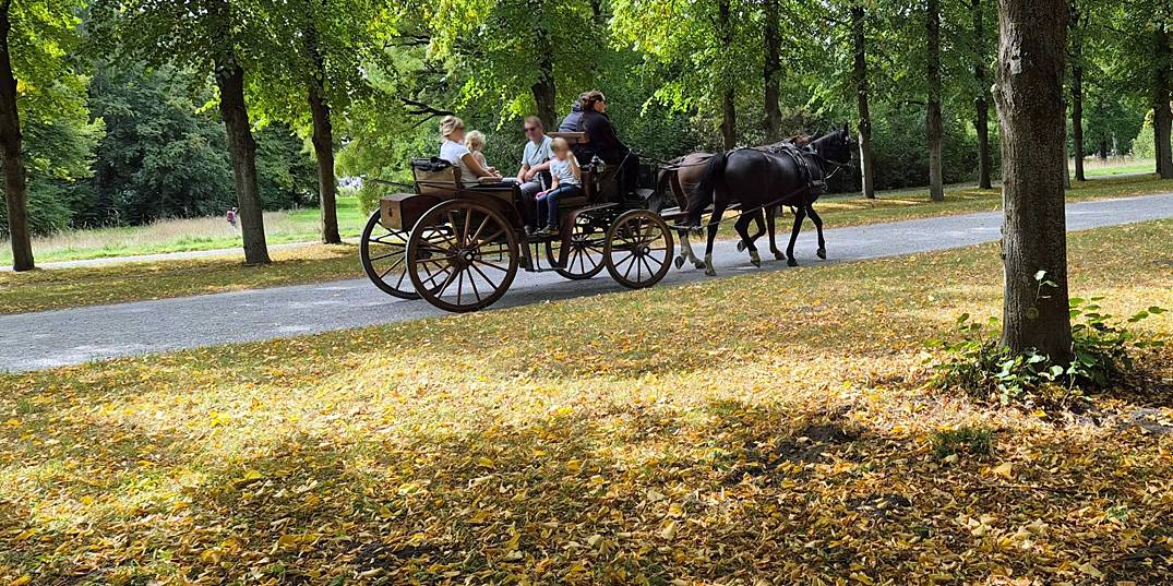 Ein Zweiergespann in Herrenhausen