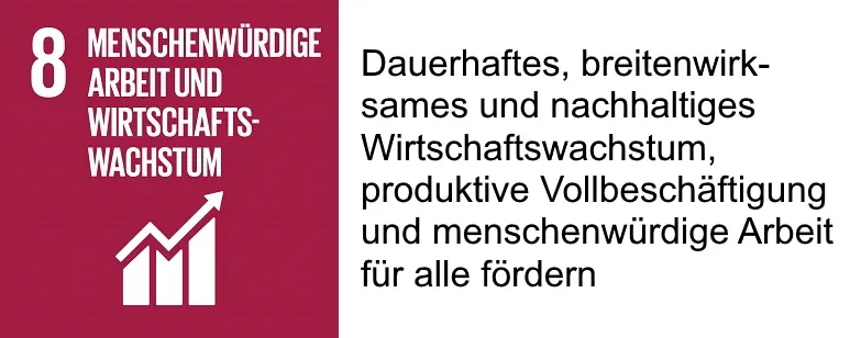 SDG 8 mit Beschreibung