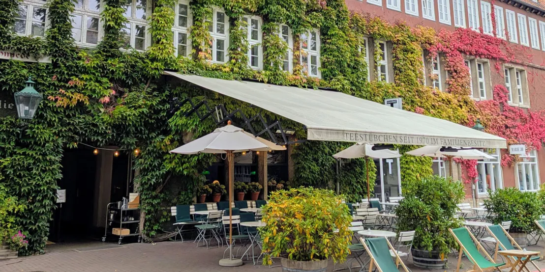 Bild von einem Kaffee in altem Haus mit viel Wein an der Fassade.
