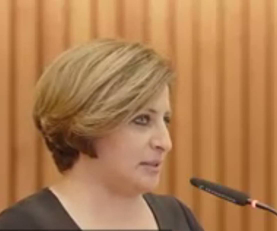 Ratsfrau Hülya Iri spricht vor einer holzgetäfelten Wand in ein Mikrofon.