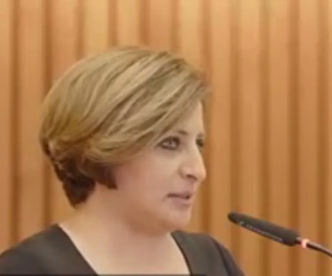 Ratsfrau H&uuml;lya Iri spricht vor einer holzget&auml;felten Wand in ein Mikrofon.