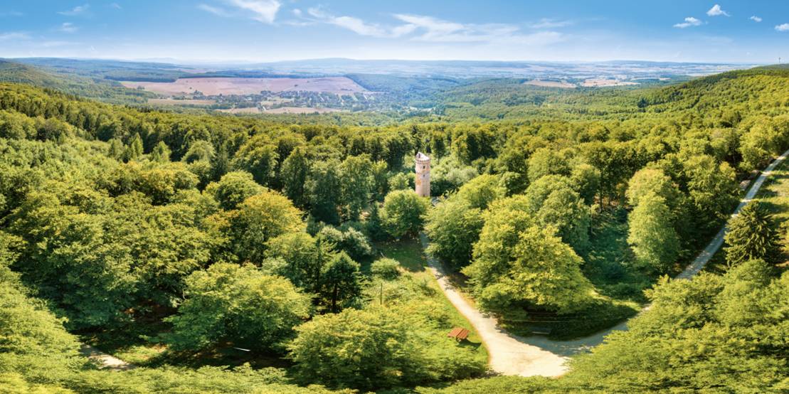 Turm in einem hügeligen Waldgebiet