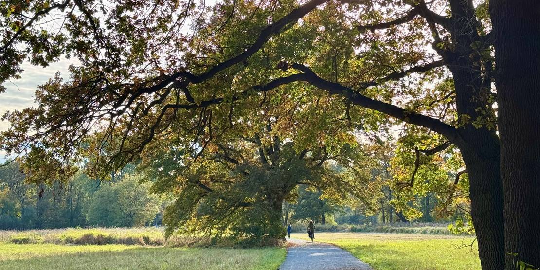 Ein Fahrradfahrer und ein Spaziergänger im Hermann-Löns-Park in Hannover