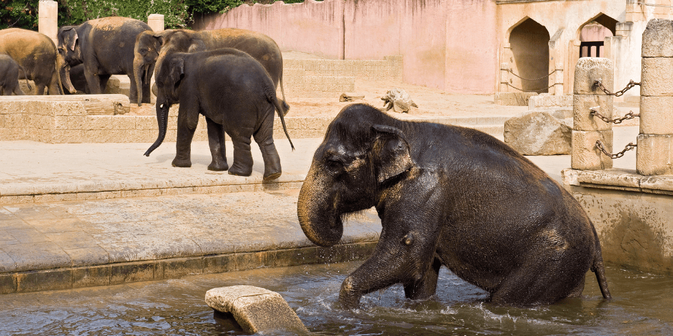 Erlebnis-Zoo Hannover