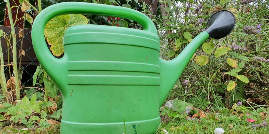 Große Kunststoffgießkanne vor einem Blumenbeet stehend