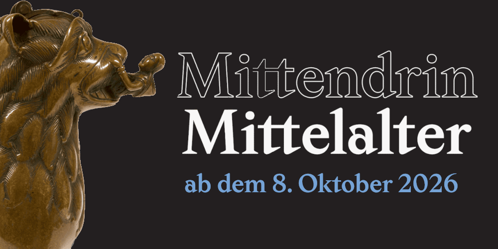 Mittendrin: Mittelalter Hero 2:1