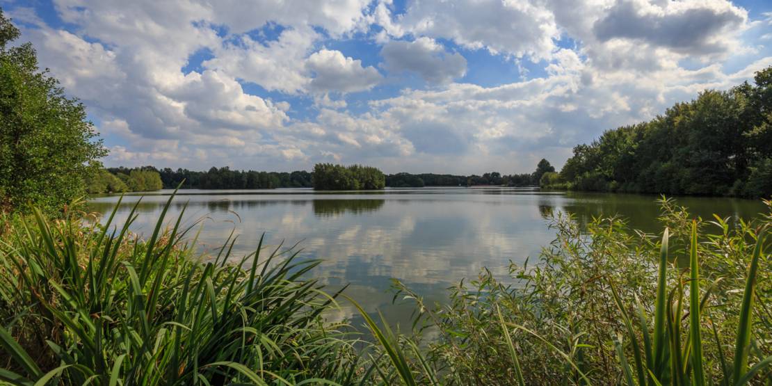 Irenensee in Uetze