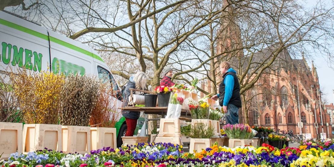 Auf dem Wochenmarkt am Klagesmarkt sind unter noch kahlen Bäumen auf dem Boden Frühlingsblumen in Töpfen aufgereiht; davor einige Kaufinteressenten und im Hintergrund die markante Christuskirche.