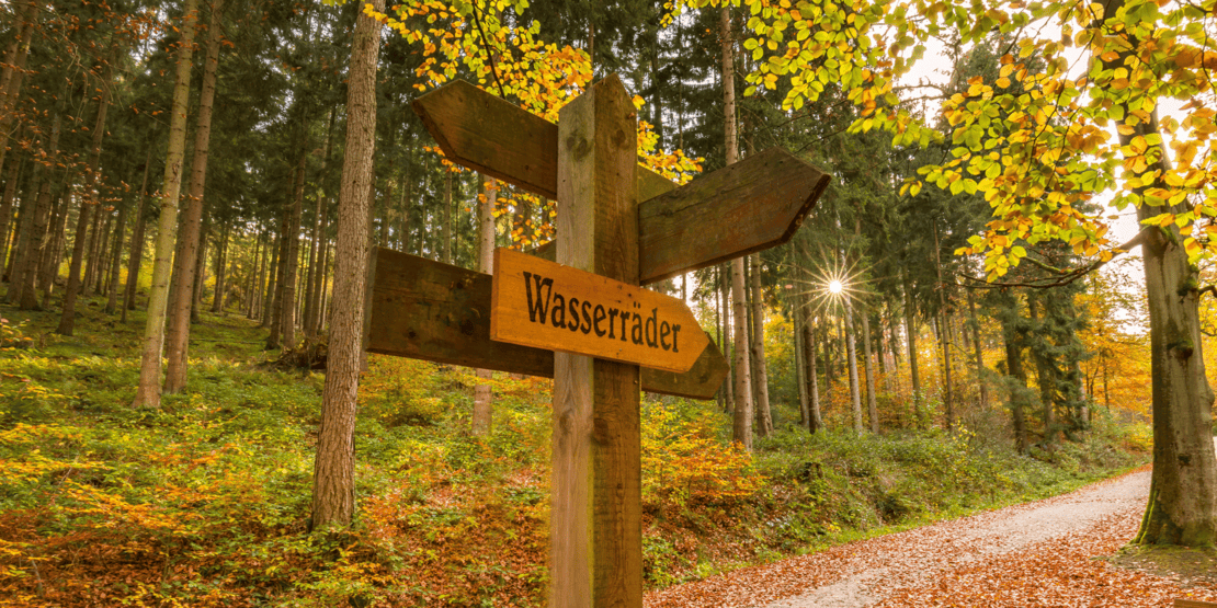 Herbst im Deister