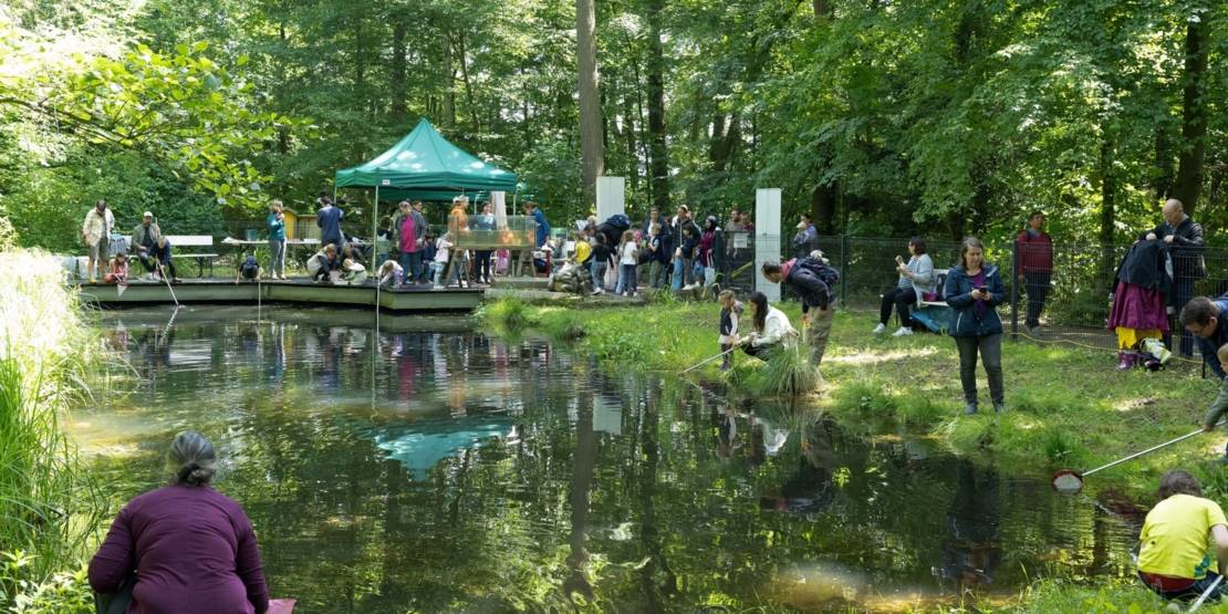Keschern an einem Tümpel in der Waldstation.
