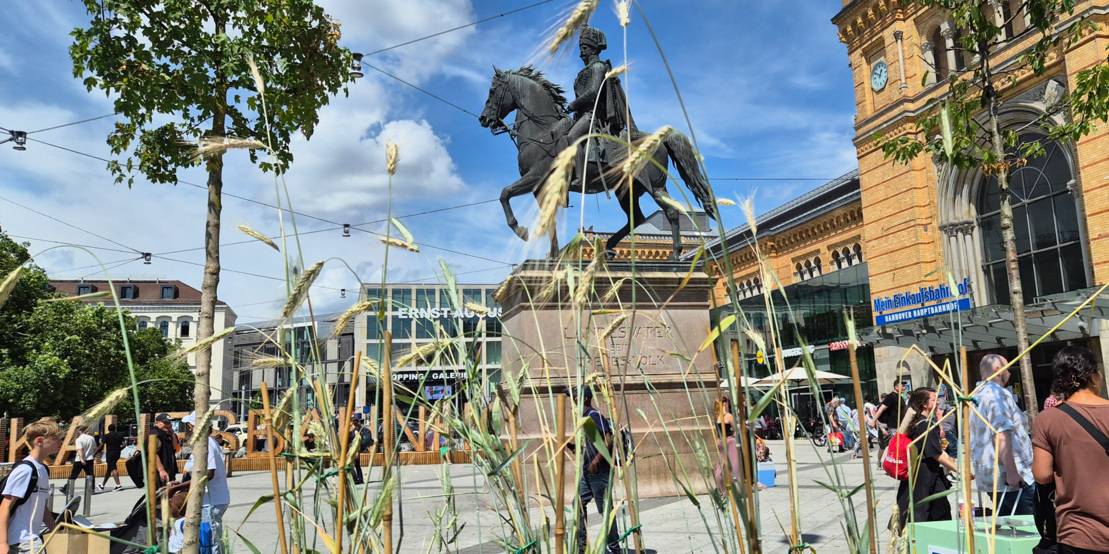 Blick durch einen Pflanzenbeet auf die Reiterstatue vor dem Hauptbahnhof Hannover.