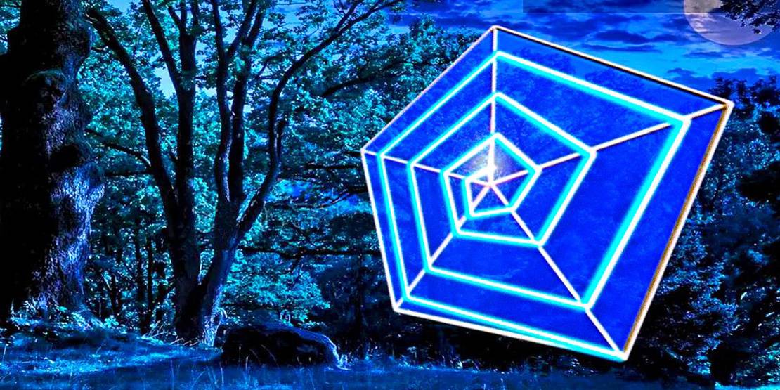 Ein riesiges UV-Spinnennetz in einem Park