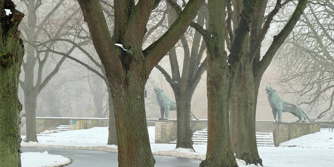 Aussichtsplattform mit Löwenfiguren am Maschsee