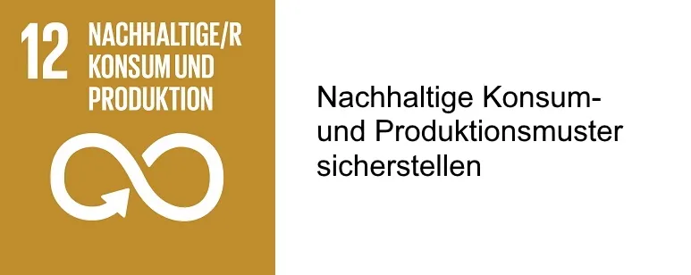 SDG 12 mit Beschreibung