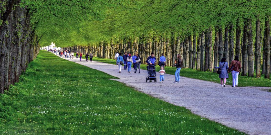 Grüne Herrenhäuser Allee im Frühling