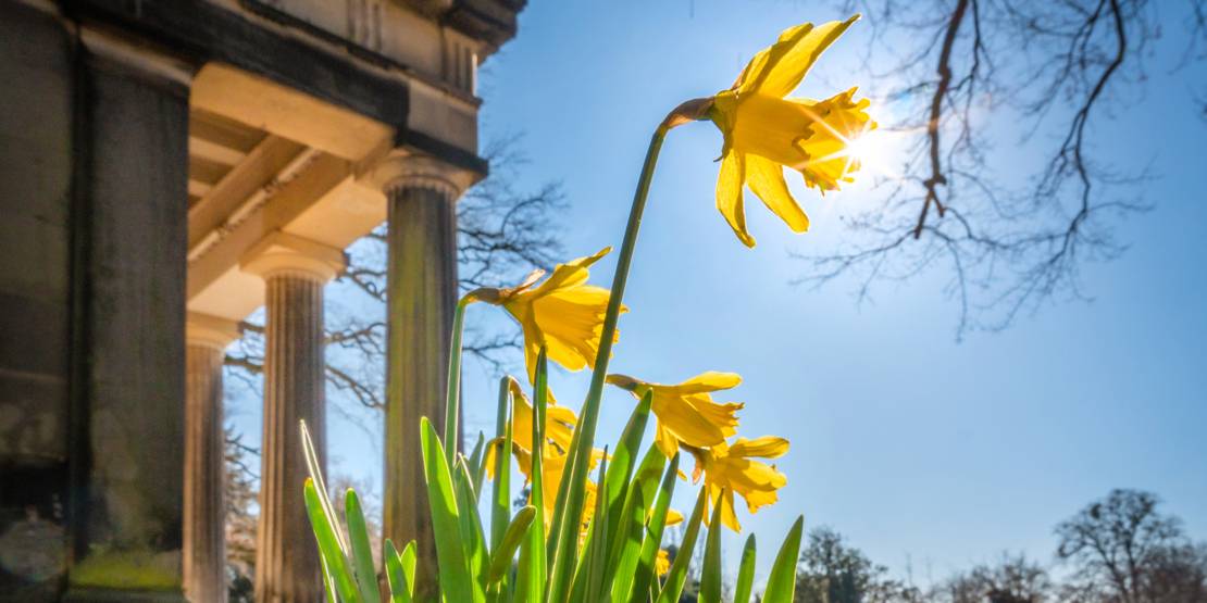 Frühling in Herrenhausen