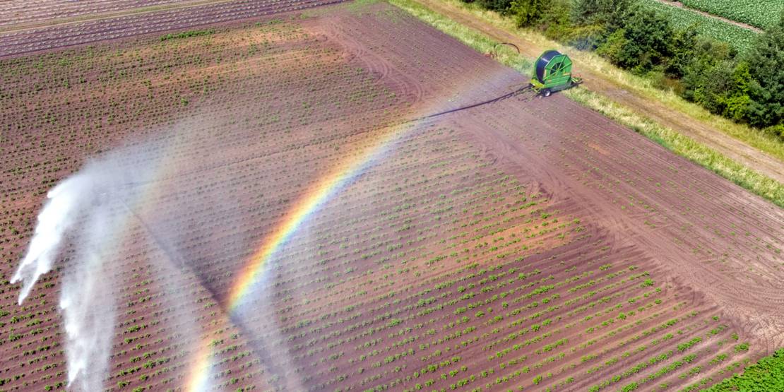 Blick von oben auf ein Feld: Am Rand ist der Haspelwagen einer Beregungsmaschine. Die Wasserfontäne erzeugt einen Regenbogen.