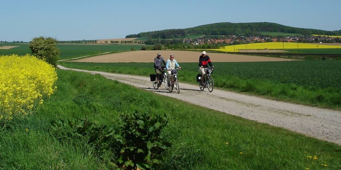 Der Deisterkreisel in Springe