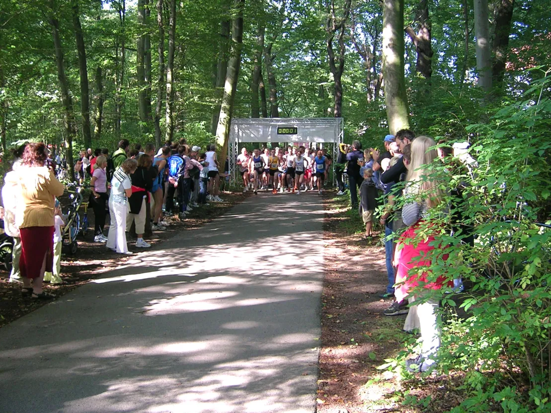 Ein 5- und ein 10 km-Lauf sowie ein Halbmarathon durch die Eilenriede stehen auf dem Programm