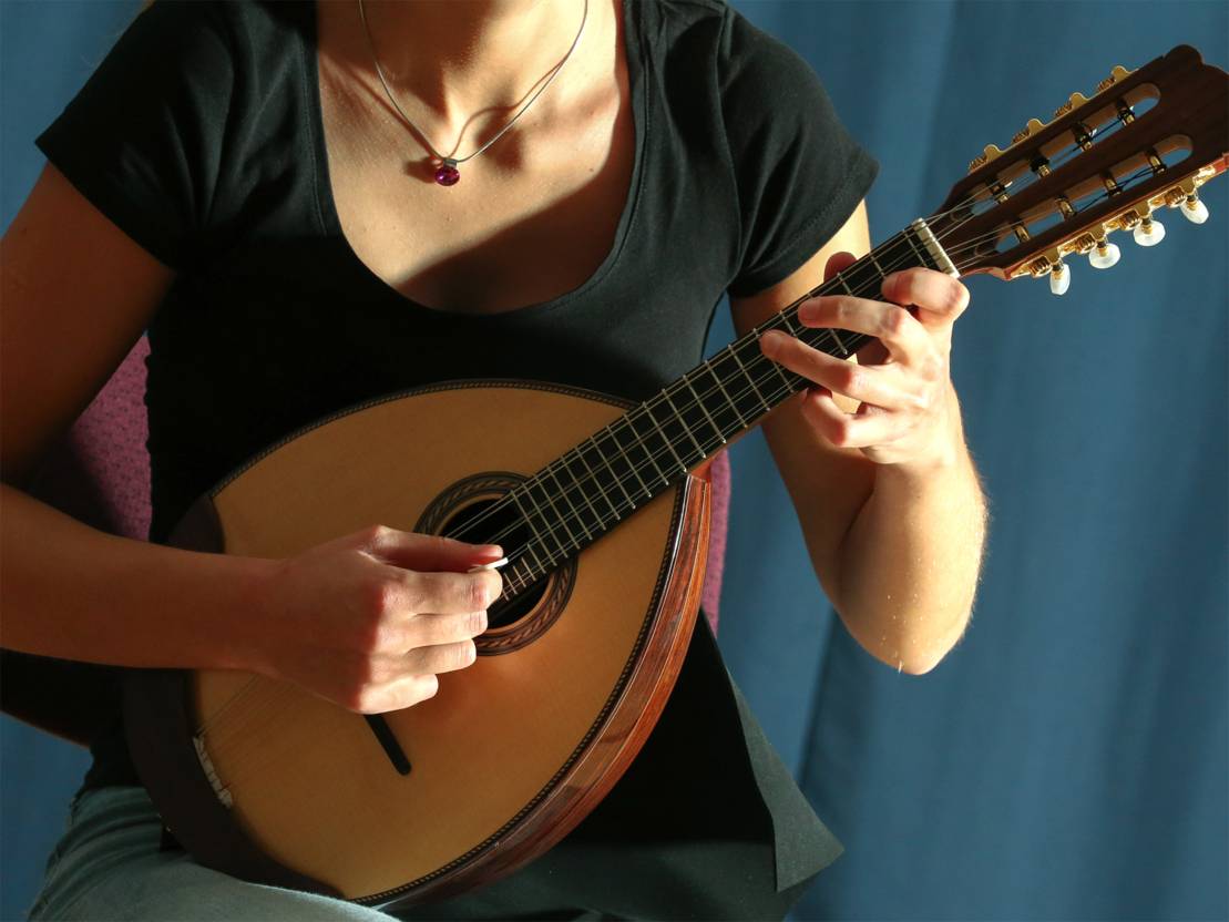 Mandoline Instrumente & Gesang Unterricht Musikschule der