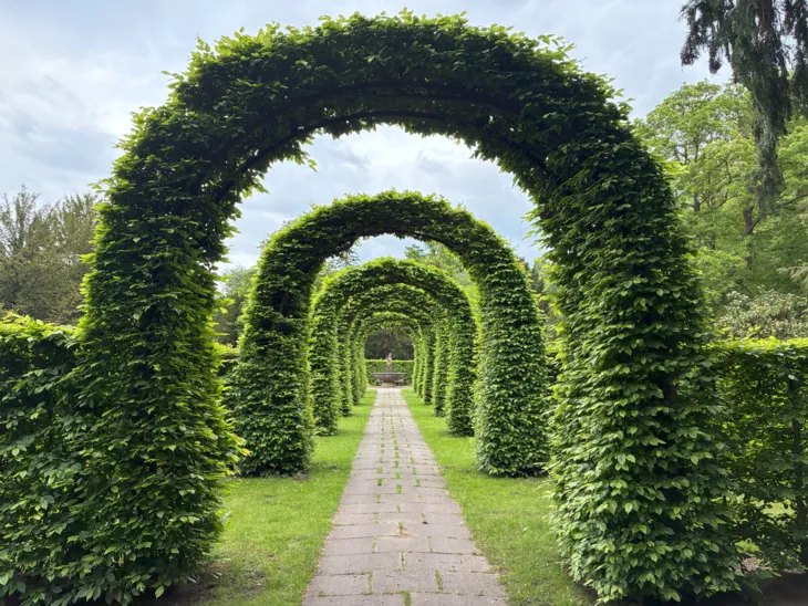 Heckenböden auf einem Friedhof.