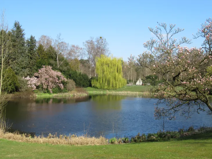 Ein Teich auf einem Friedhof.