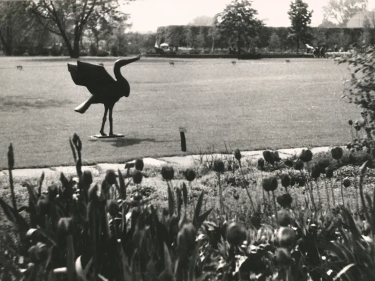 Ein altes Foto, das den hannoverschen Stadtpark zeigt.