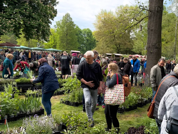Impression der Hannoverschen Pflanzentage im Stadtpark.